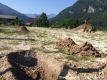 Rodungen; Baustart mit Erdarbeiten.JPG